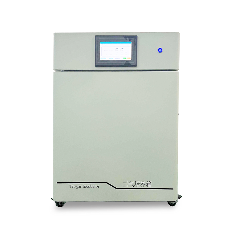 YF-SQ80  三气培养箱  80升